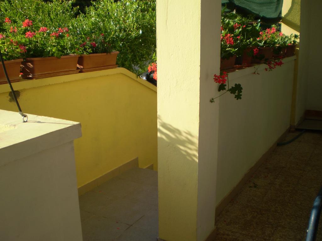 Apartments Kocijan Sukošan Εξωτερικό φωτογραφία